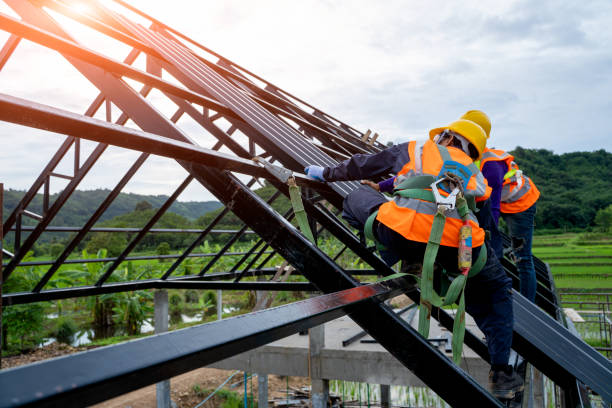 Roof Gutter Cleaning in Triangle, VA